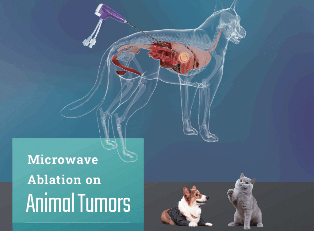 ECO Microwave Ablation Therapeutic for Human & Animal Tumors